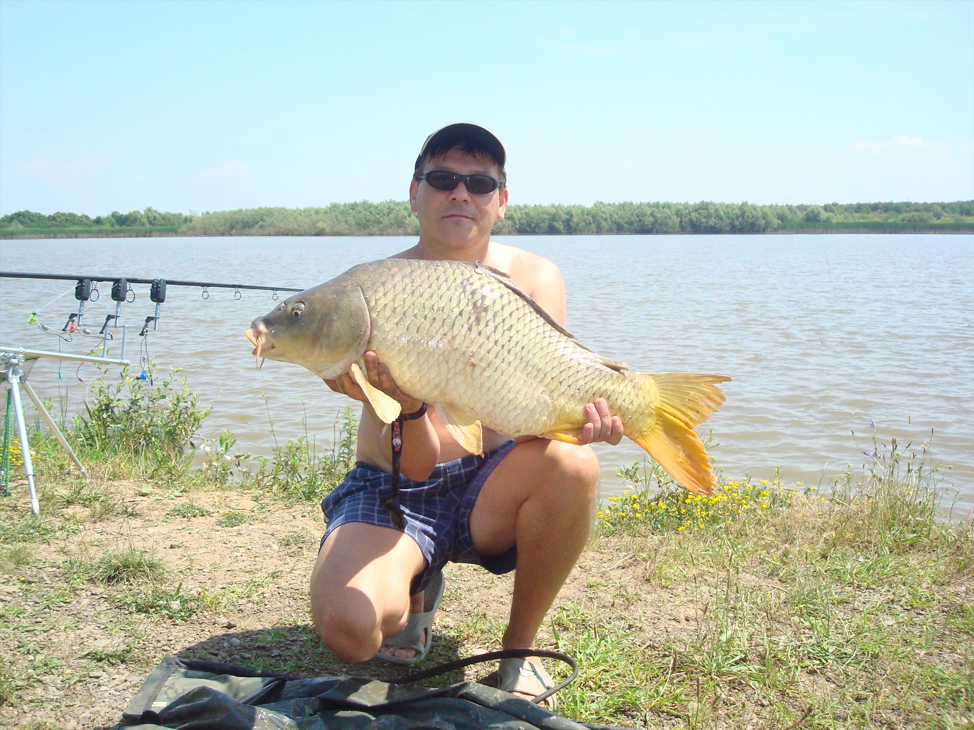 balta de la Topolavatul Mare - dsc06195.JPG